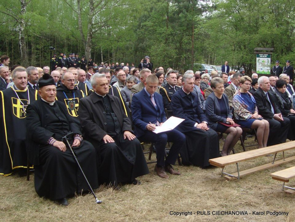 Na Polanie w Ościsłowskim Lesie