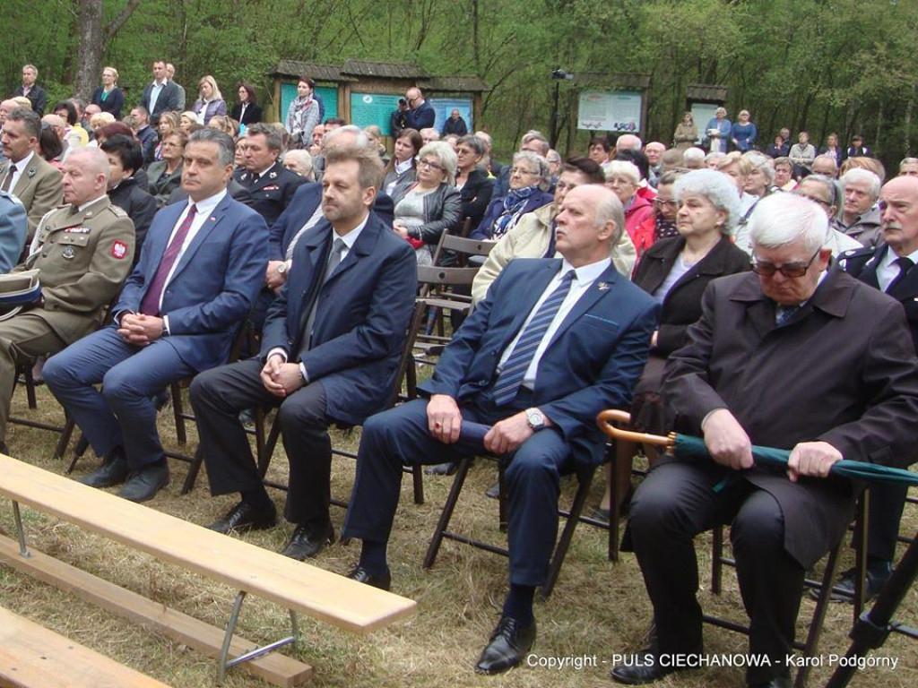 Na Polanie w Ościsłowskim Lesie