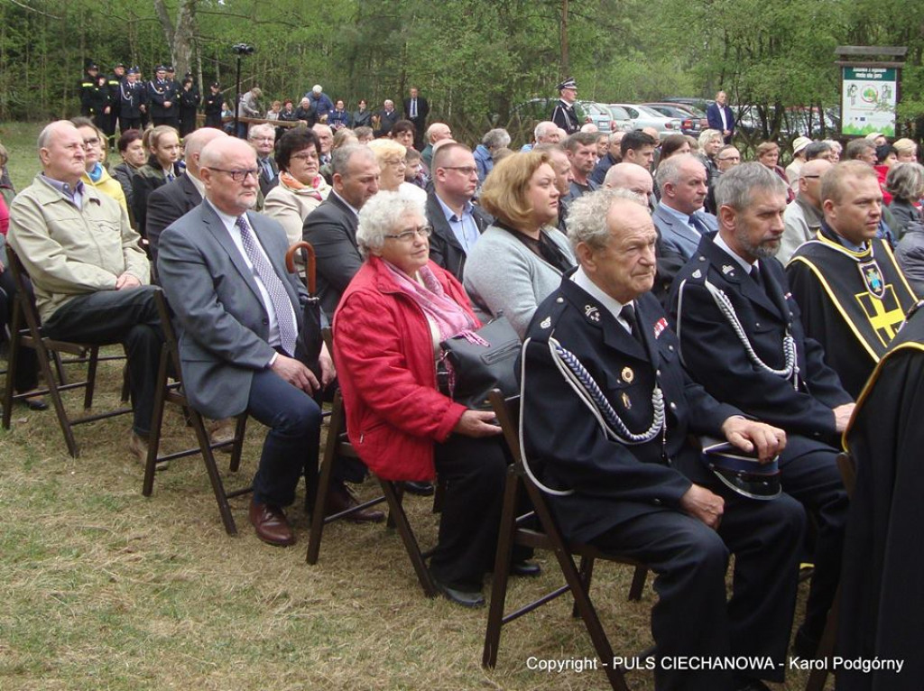 Na Polanie w Ościsłowskim Lesie