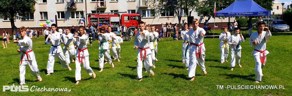 Osiedlowy Piknik Rodzinny na 