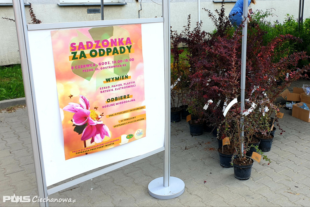 Wymienili odpady na sadzonki