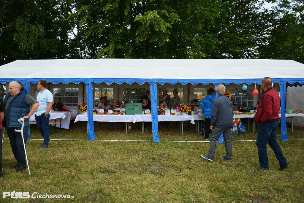 Wakacyjny Festyn w Gołotczyźnie - lipiec 2019