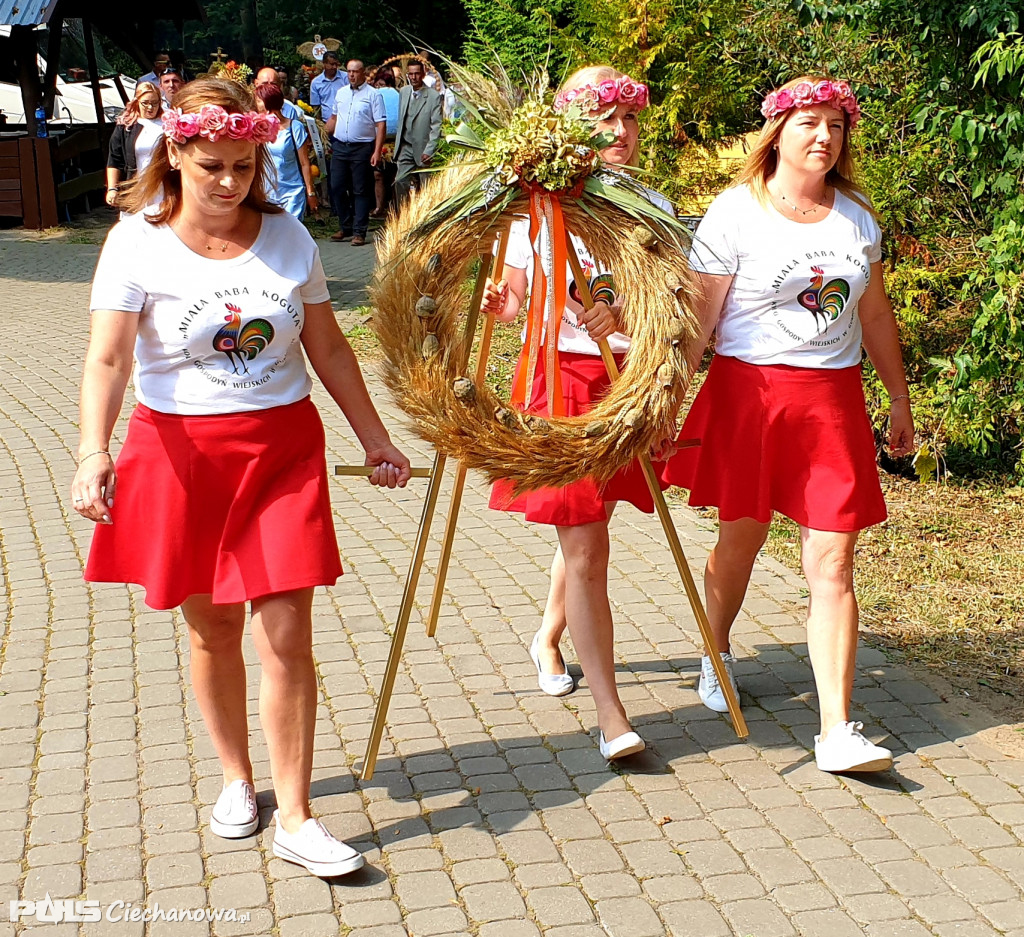 Dożynki w Gminie Ciechanów