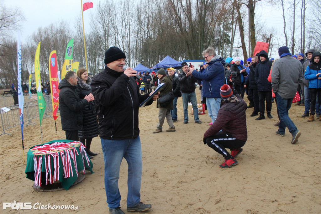 Setki morsów w kąpielisku Krubin - mamy nowy rekord!