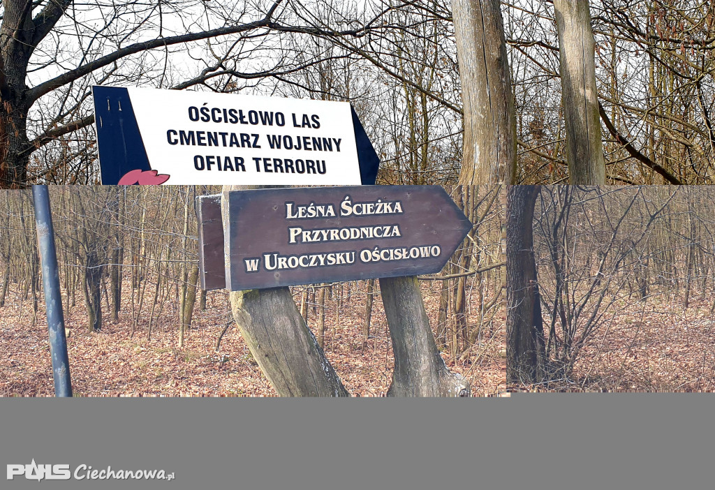 Miłośnicy nordic walking posprzątali las