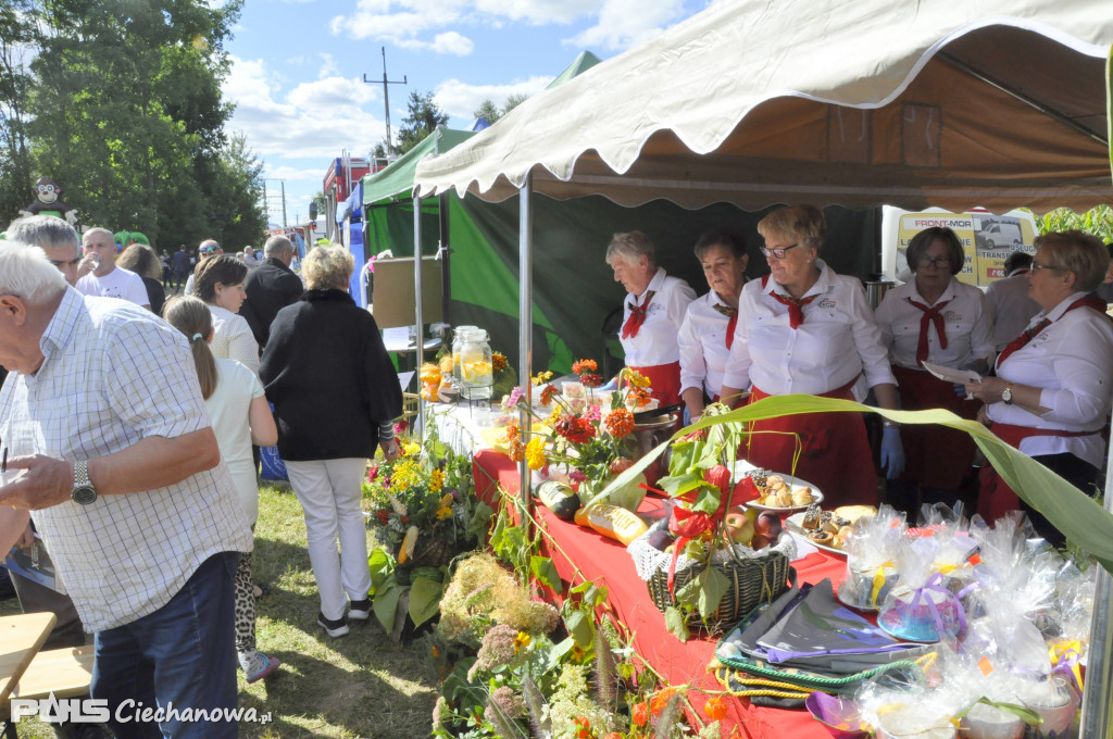 Święto plonów w gminie Regimin (cz. 1)