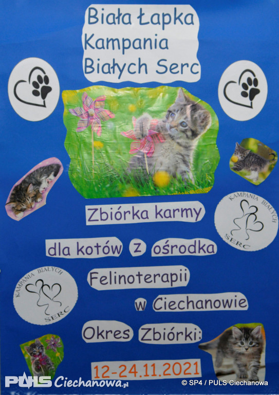 Kampania Białych Serc w ciechanowskiej czwórce