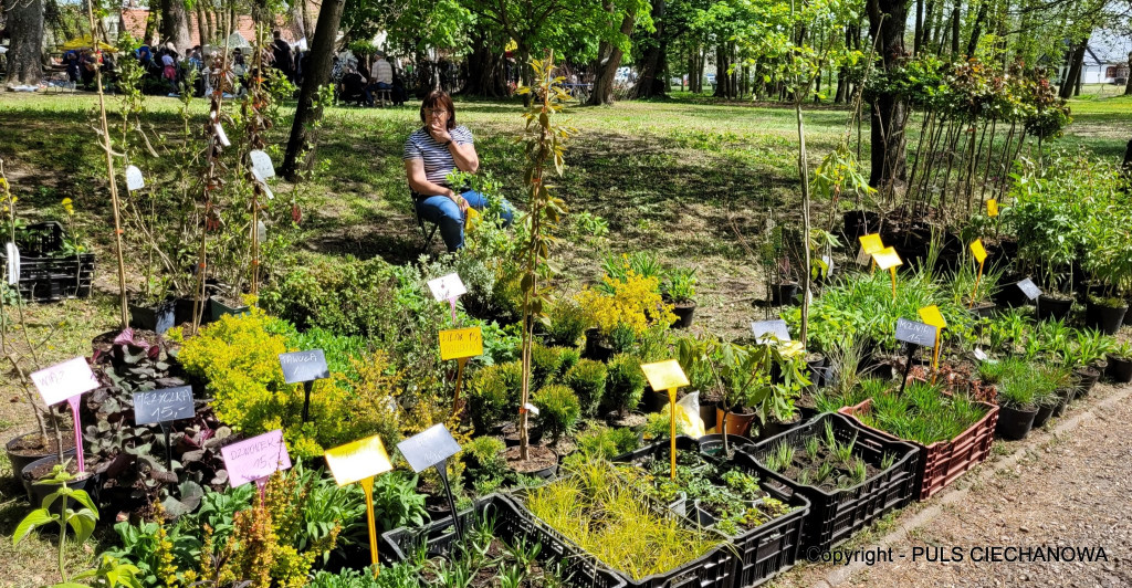 Wspaniałe „Kwiaty ogrodów”