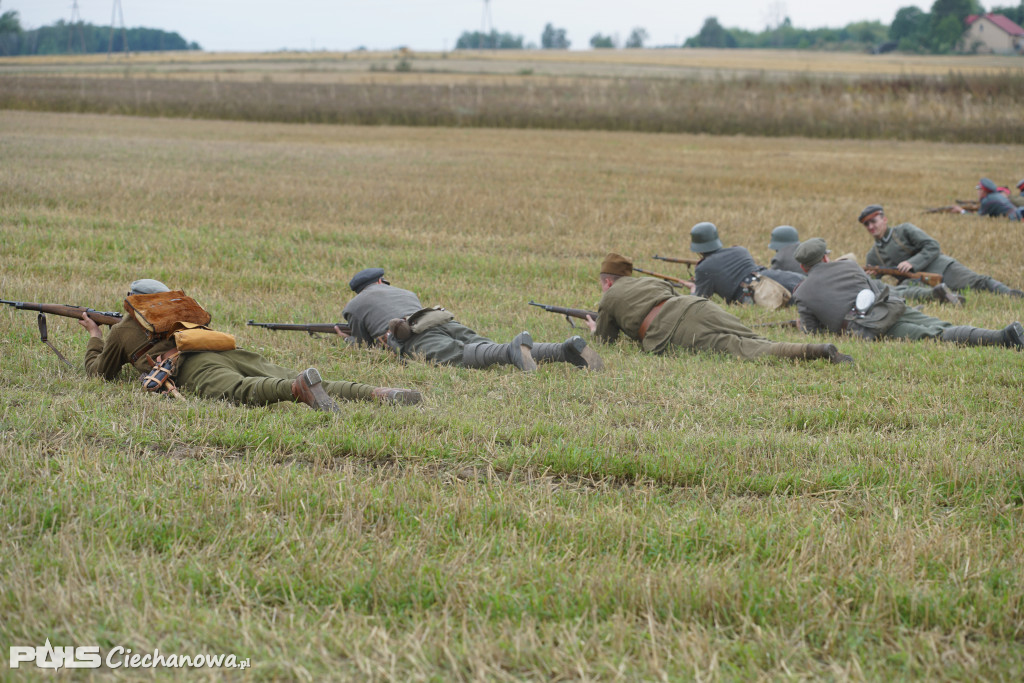 Rocznica bitwy pod Sarnową Górą