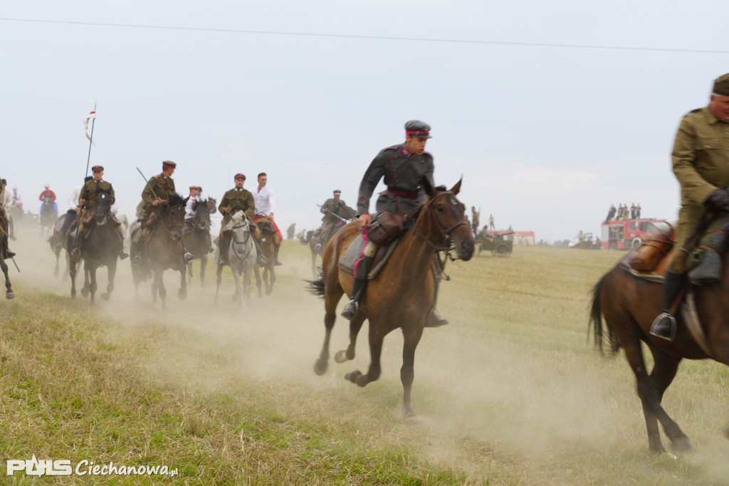 Rocznica bitwy pod Sarnową Górą