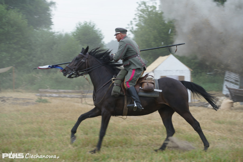 Rocznica bitwy pod Sarnową Górą
