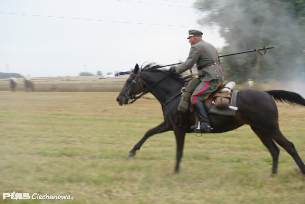 Rocznica bitwy pod Sarnową Górą