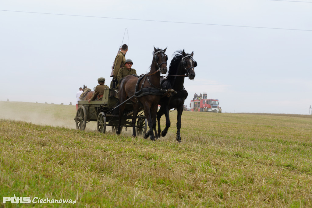 Rocznica bitwy pod Sarnową Górą
