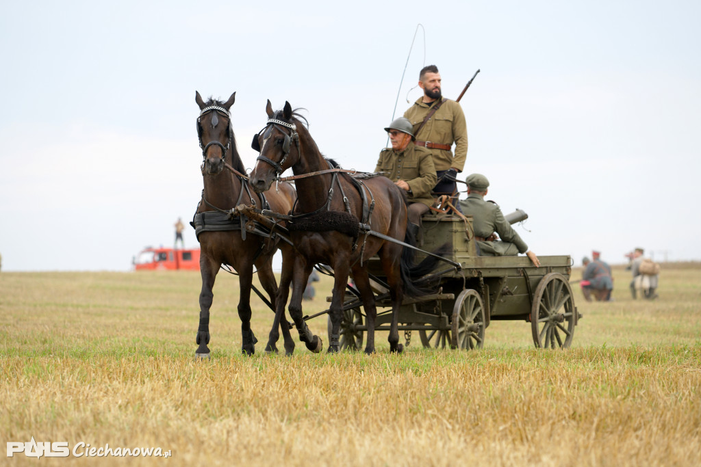 Rocznica bitwy pod Sarnową Górą