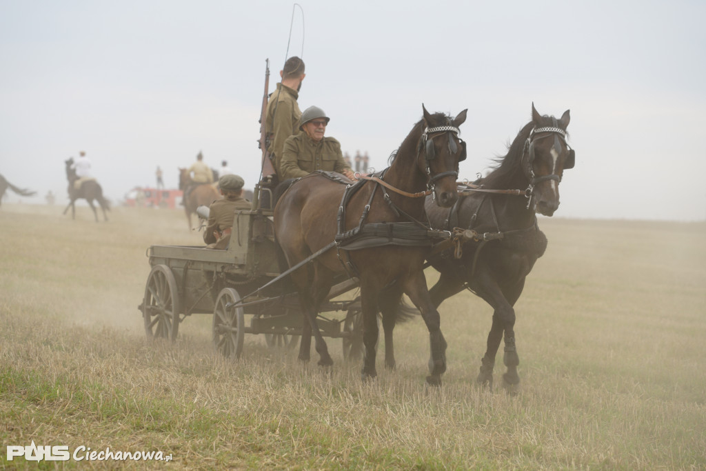 Rocznica bitwy pod Sarnową Górą