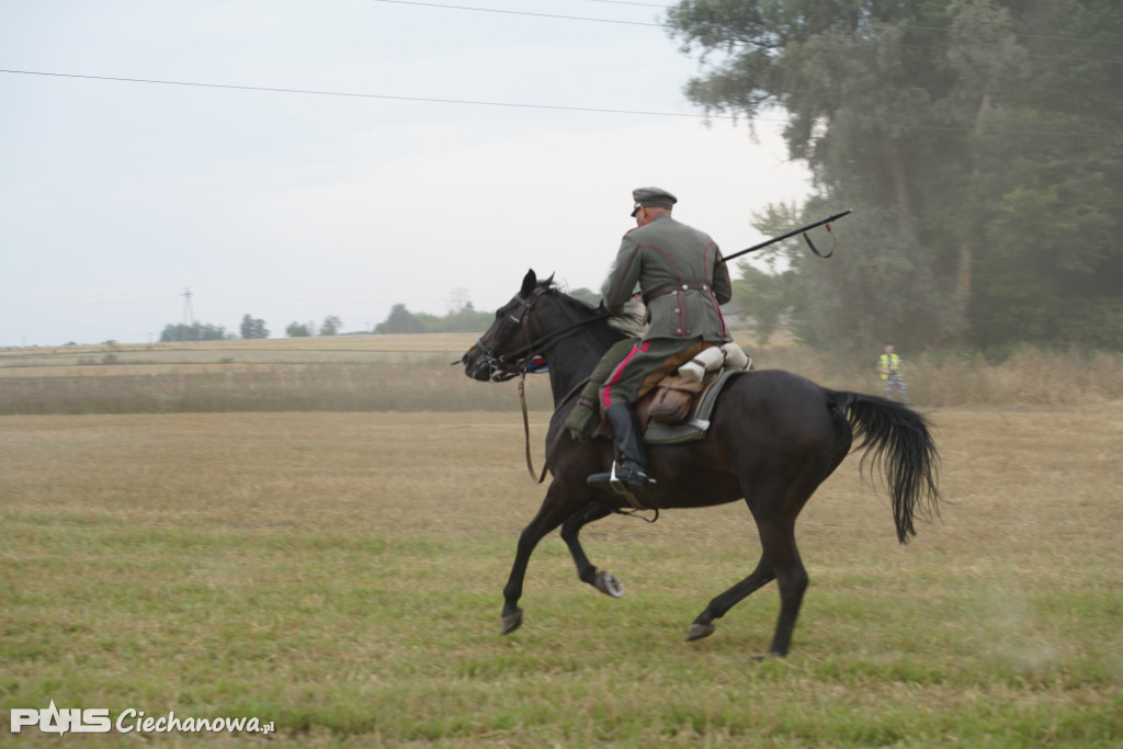Rocznica bitwy pod Sarnową Górą