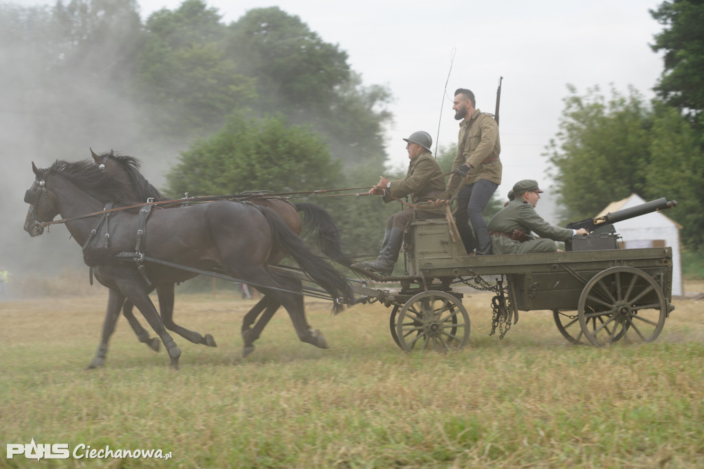 Rocznica bitwy pod Sarnową Górą