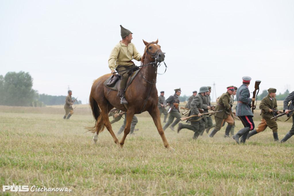 Rocznica bitwy pod Sarnową Górą