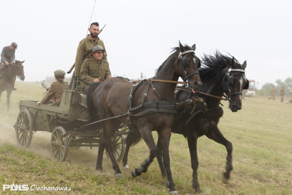 Rocznica bitwy pod Sarnową Górą