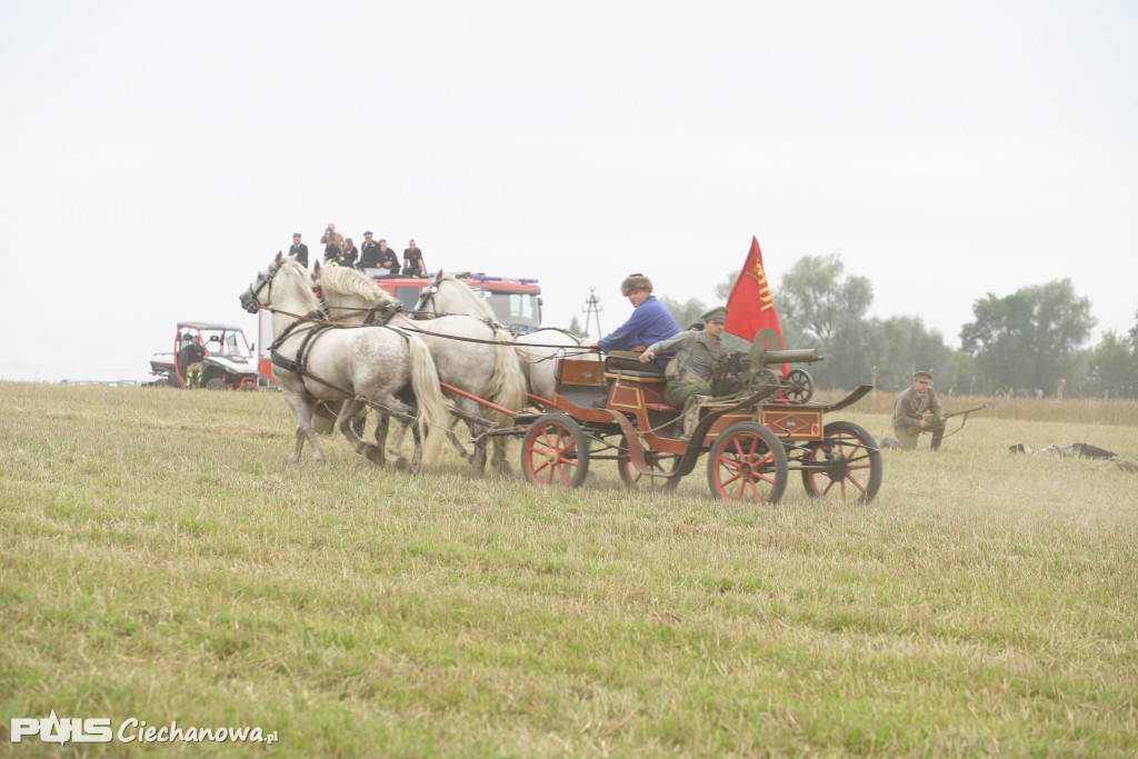 Rocznica bitwy pod Sarnową Górą