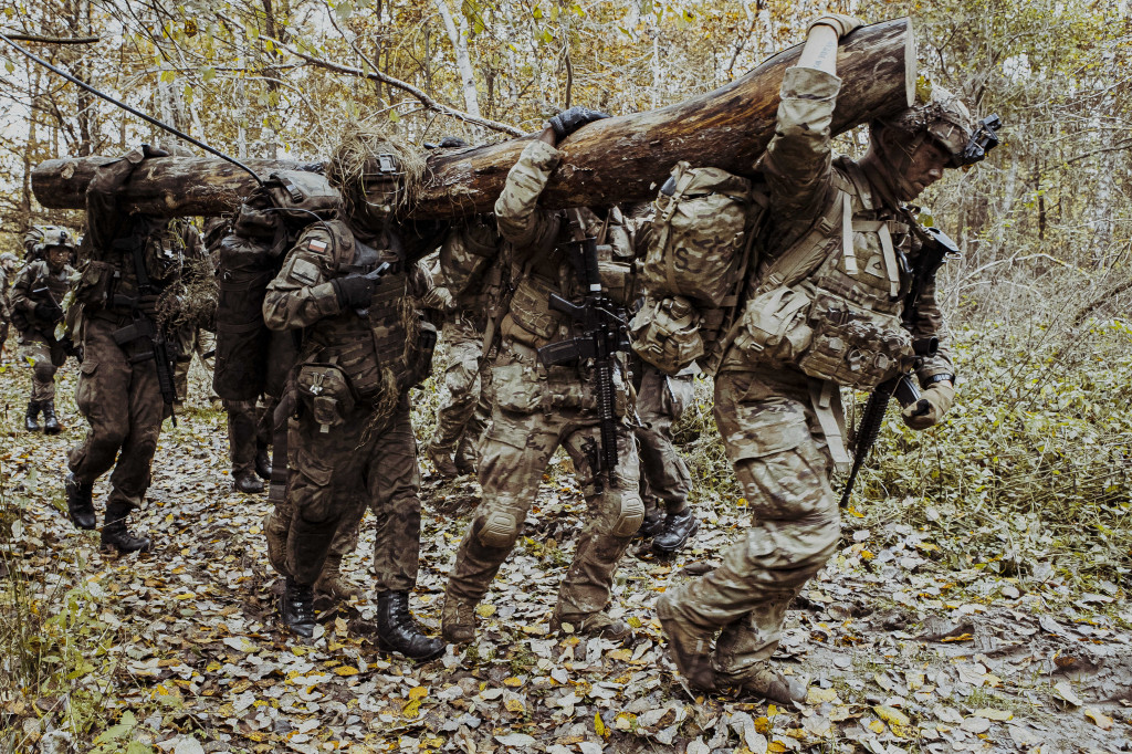 Terytorialsi walczyli z sojusznikami z NATO