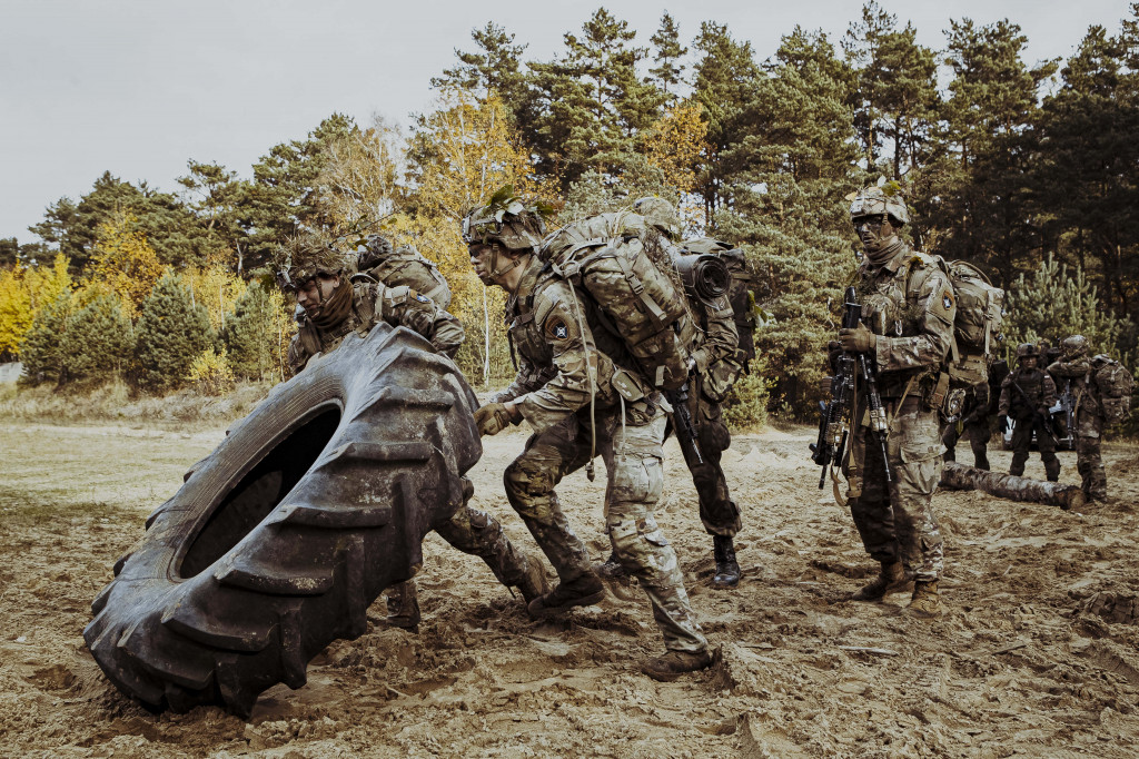Terytorialsi walczyli z sojusznikami z NATO