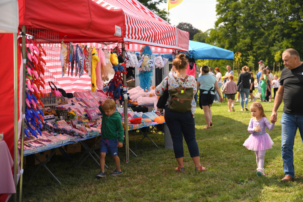 Festiwal Latawców w Gołotczyźnie