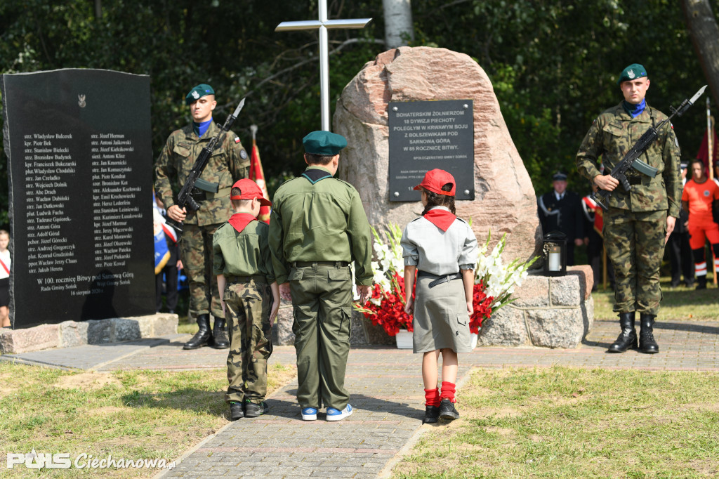103. rocznica Bitwy pod Sarnową Górą