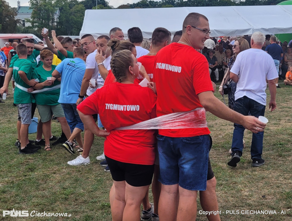Dożynki Gminne w Opinogórze Górnej
