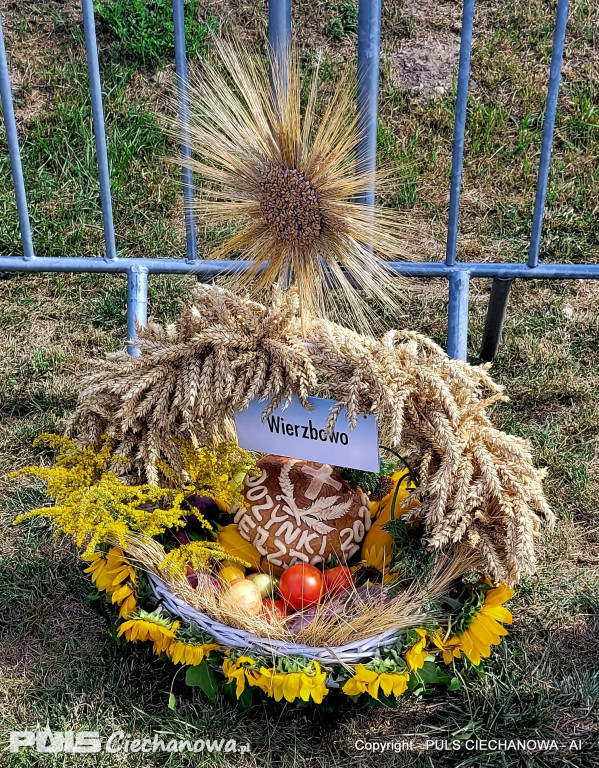 Dożynki Gminne w Opinogórze Górnej