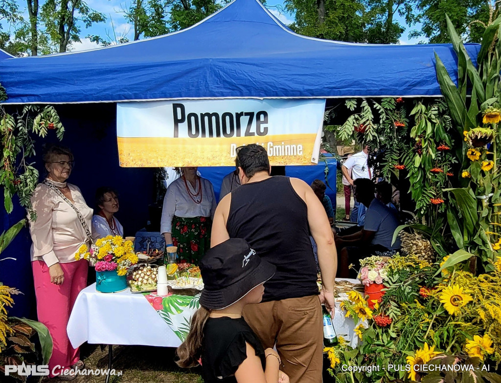 Dożynki Gminne w Opinogórze Górnej