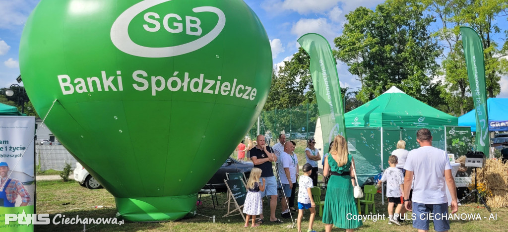 Dożynki Gminne w Opinogórze Górnej