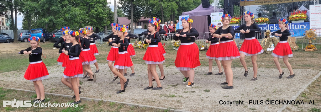 Dożynki Gminne w Opinogórze Górnej