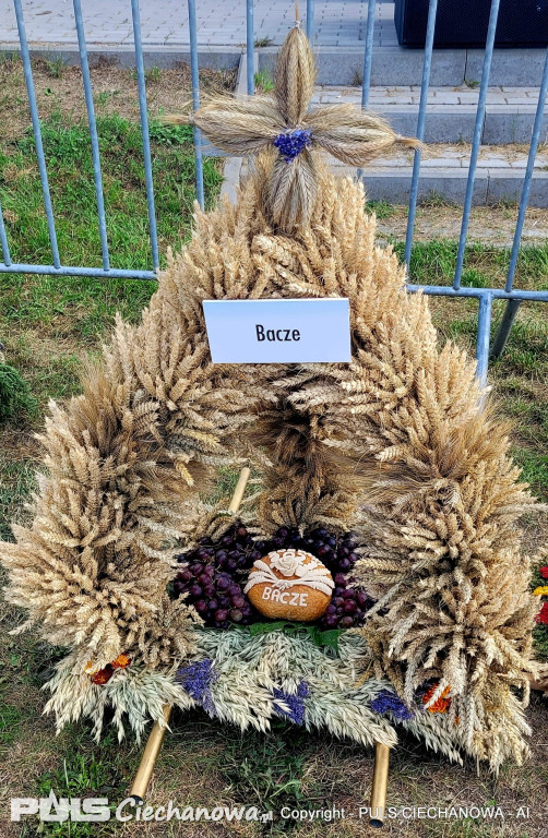 Dożynki Gminne w Opinogórze Górnej