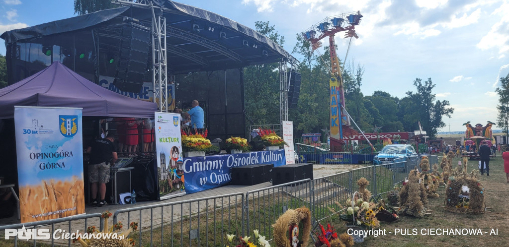 Dożynki Gminne w Opinogórze Górnej