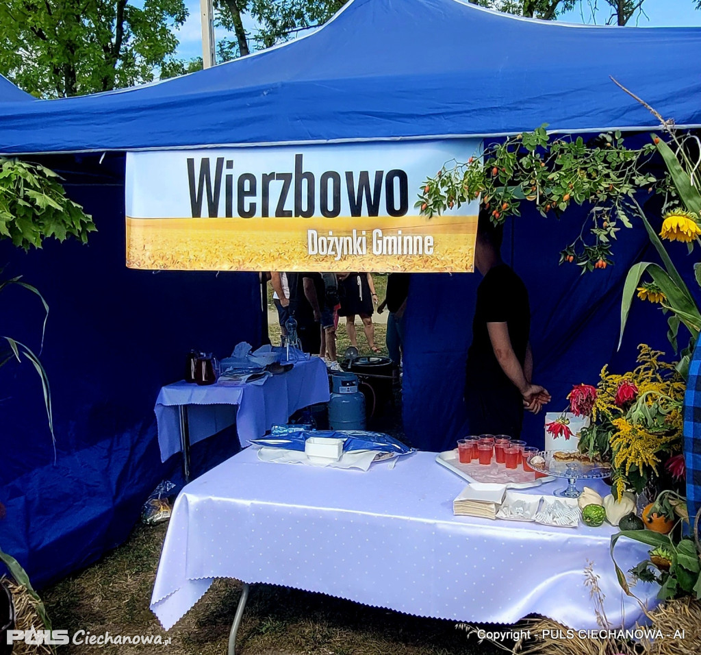 Dożynki Gminne w Opinogórze Górnej