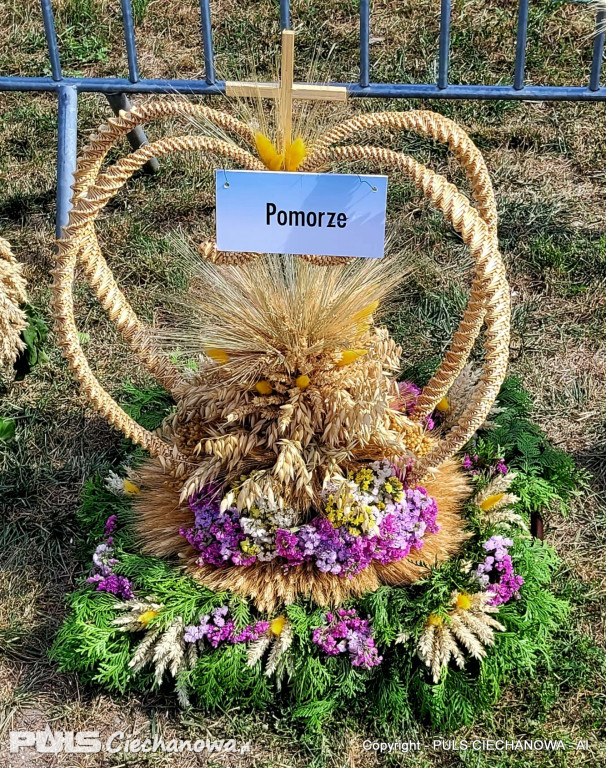 Dożynki Gminne w Opinogórze Górnej