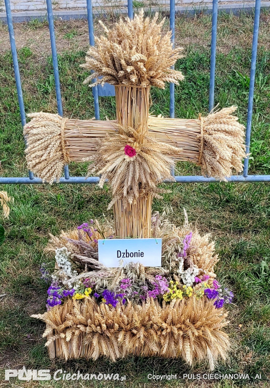 Dożynki Gminne w Opinogórze Górnej