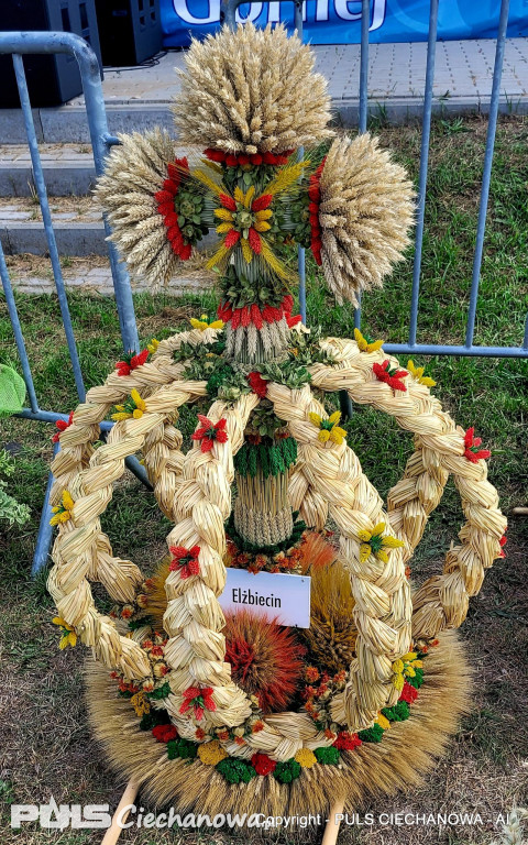 Dożynki Gminne w Opinogórze Górnej