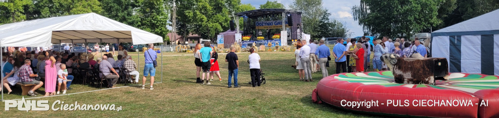 Dożynki Gminne w Opinogórze Górnej