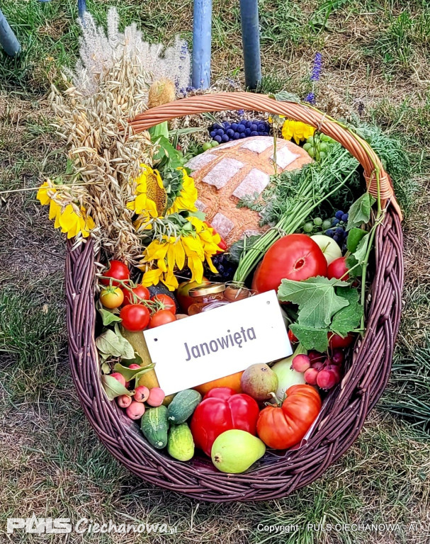 Dożynki Gminne w Opinogórze Górnej