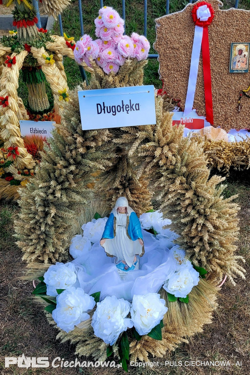 Dożynki Gminne w Opinogórze Górnej