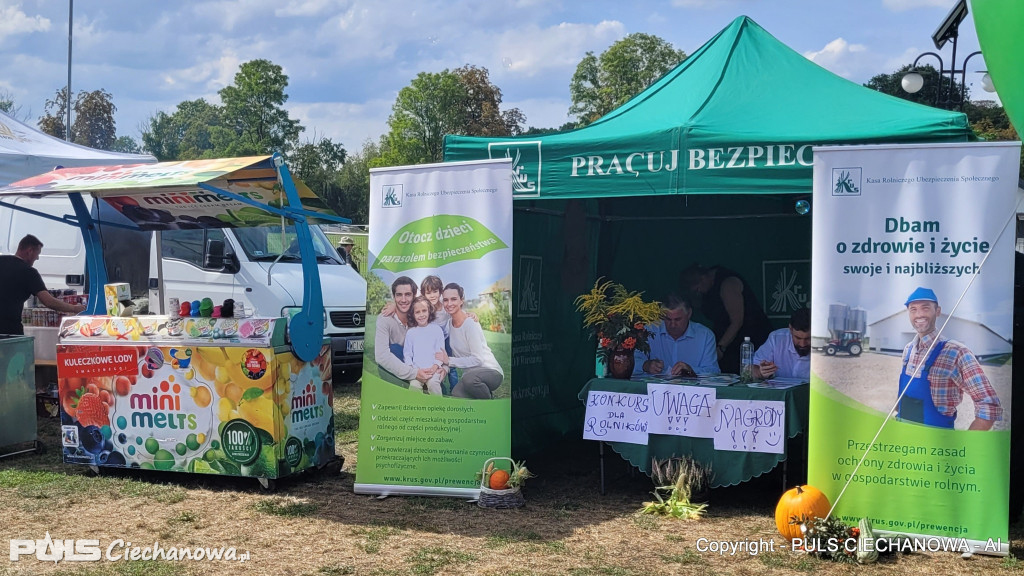 Dożynki Gminne w Opinogórze Górnej