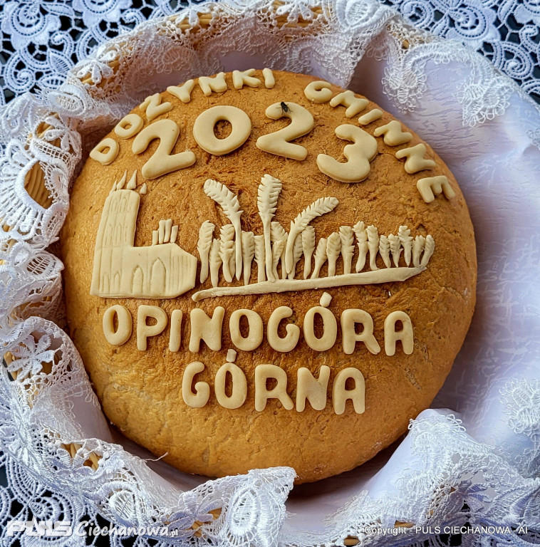 Dożynki Gminne w Opinogórze Górnej