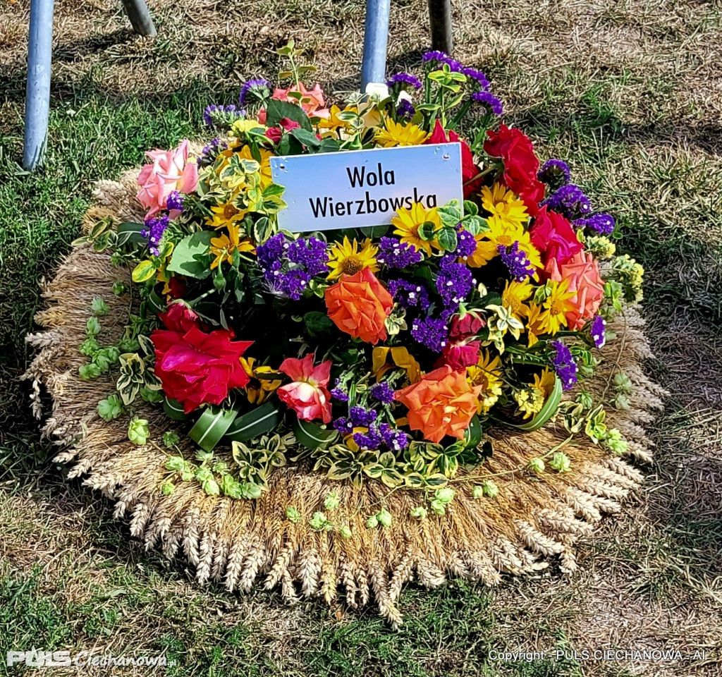 Dożynki Gminne w Opinogórze Górnej