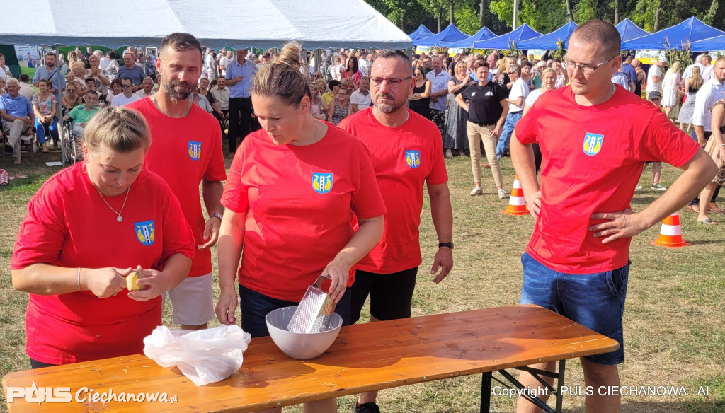 Dożynki Gminne w Opinogórze Górnej