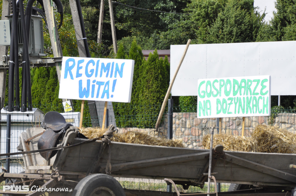 Dożynki gminne w Regiminie
