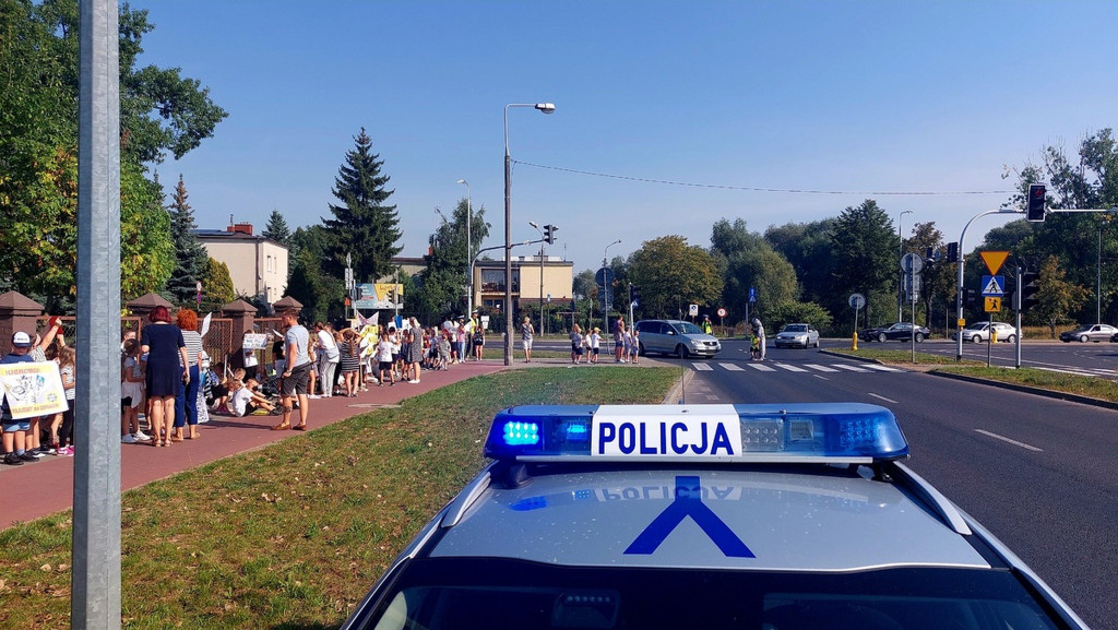 Kierowco! Nie polujemy na zebrach