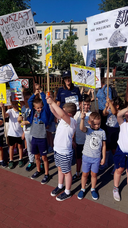 Kierowco! Nie polujemy na zebrach