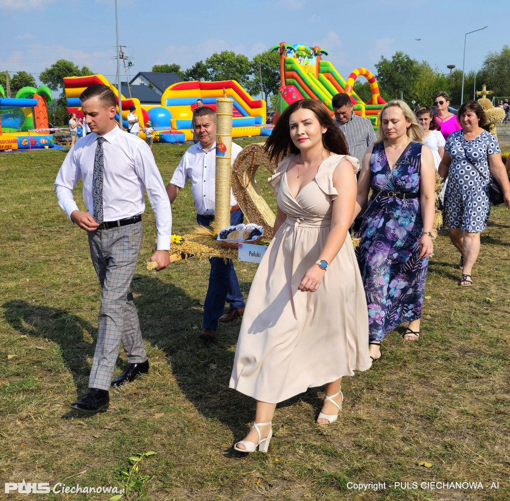Opinogórskie Dożynki Gminne w Pałukach